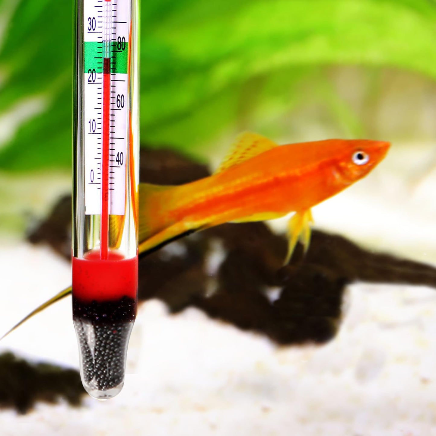 10 Pieces Floating Thermometer for Fish Tank, Digital Glass Double Scale Aquarium Thermometer with Suction Cup, Water Submersible Temperature Measurer, Waterproof Hydraulic Gauge