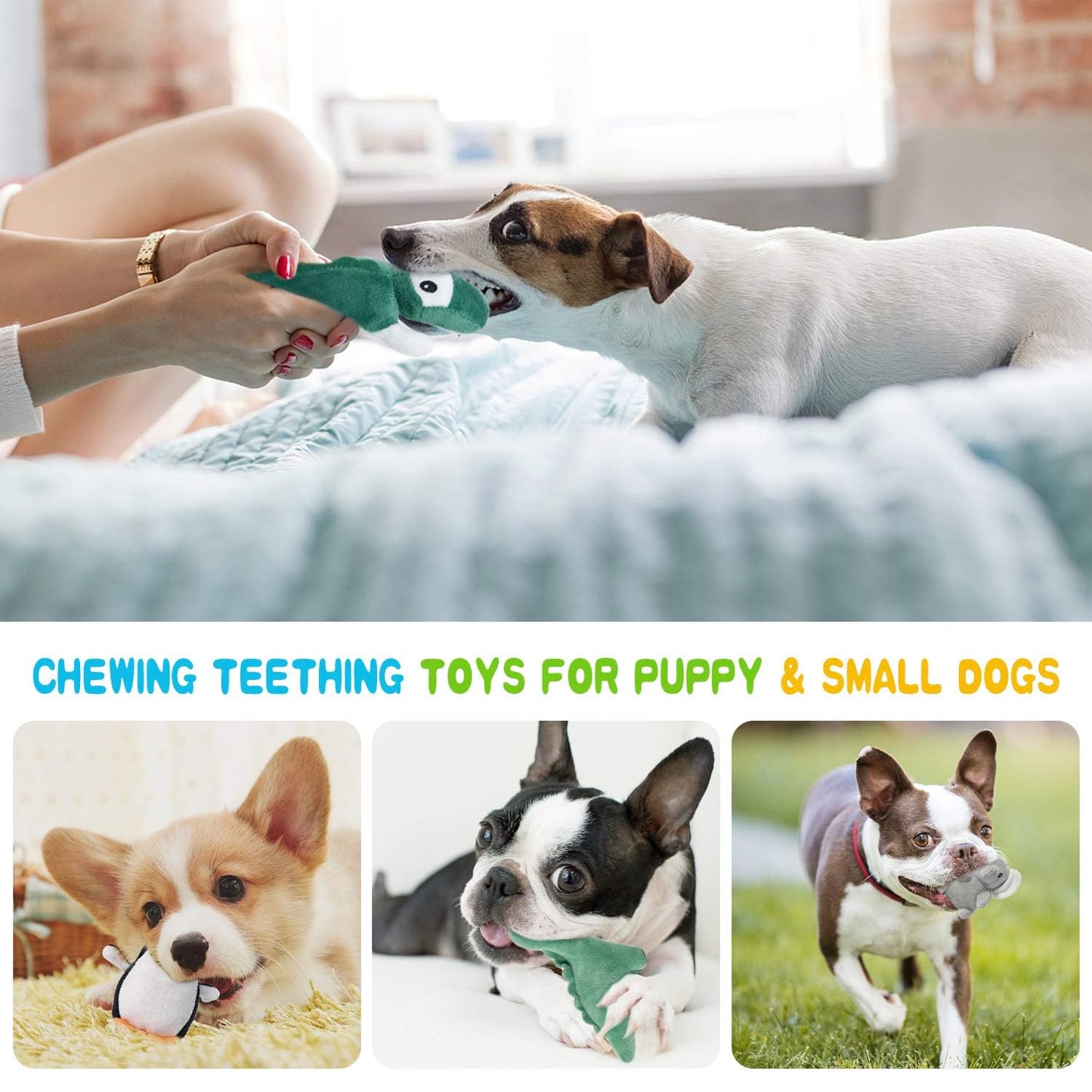 LEGEND SANDY Squeaky Dog Toys for Puppy Small Medium Dogs, Stuffed Samll Dog Toys Bulk with Plush Pet Doggie Toy Set, Cute Safe Pet Chew 12 Pack for Puppies Teething