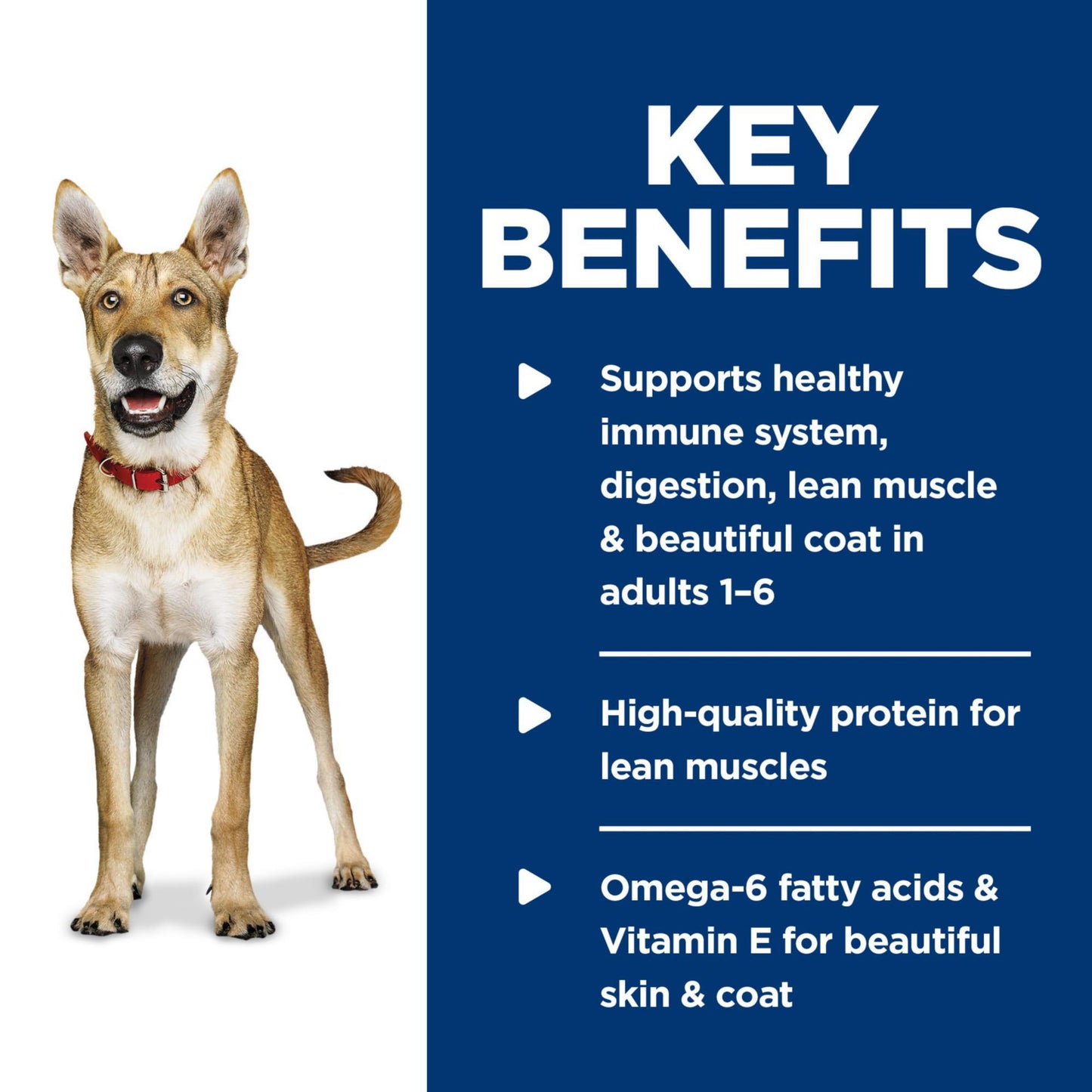 Hill's Science Diet Adult 1-6, Adult 1-6 Premium Nutrition, Wet Dog Food, Chicken & Barley Loaf, 13 oz Can, Case of 12