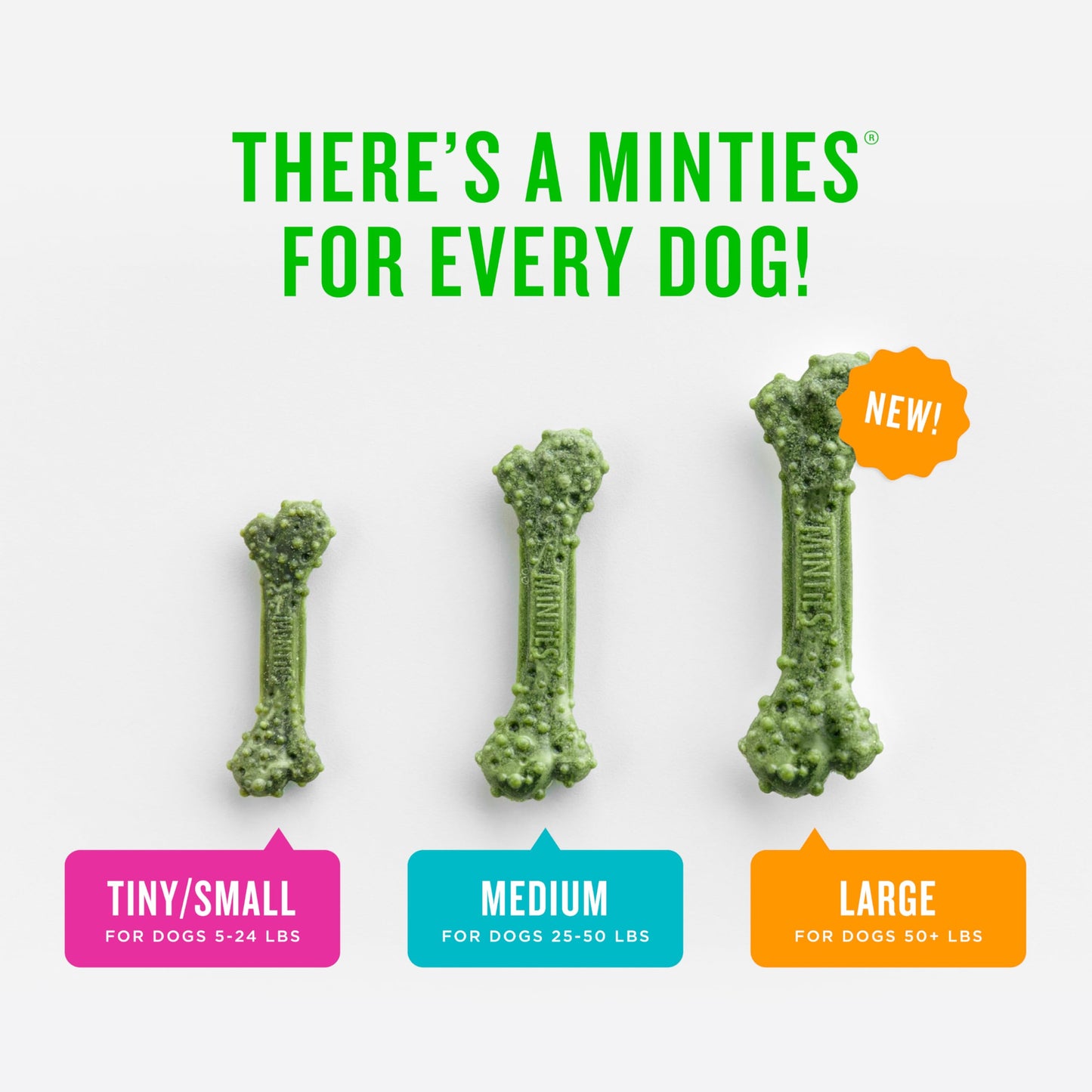 Minties Dental Chews for Dogs, 60 Count, Vet-Recommended Mint-Flavored Treats for Medium Dogs 25-50 lbs, Bones Clean Teeth, Fight Bad Breath, and Removes Plaque and Tartar