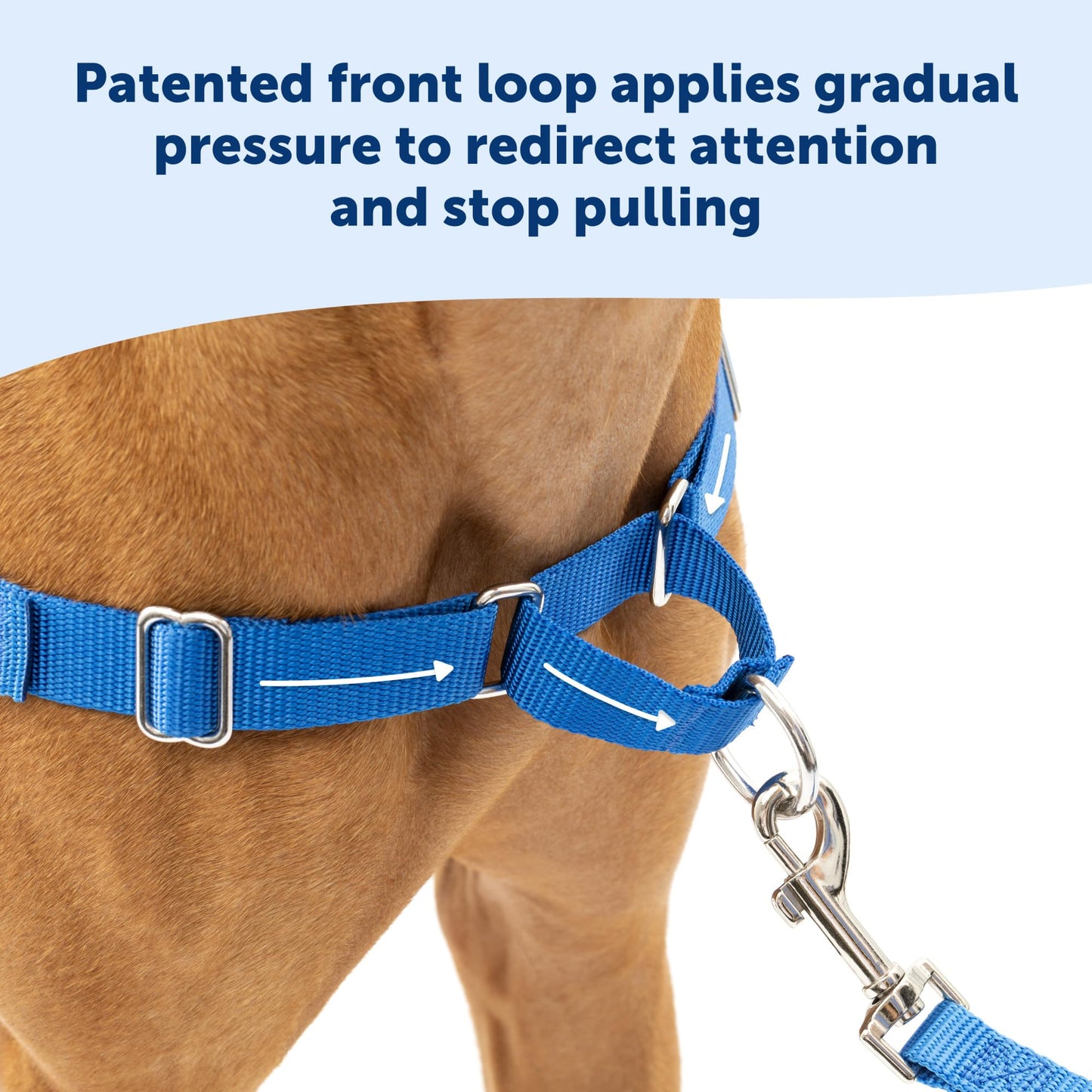 PetSafe Easy Walk No-Pull Dog Harness - The Ultimate Harness to Help Stop Pulling - Take Control & Teach Better Leash Manners - Helps Prevent Pets Pulling on Walks, Medium/Large, Black/Silver