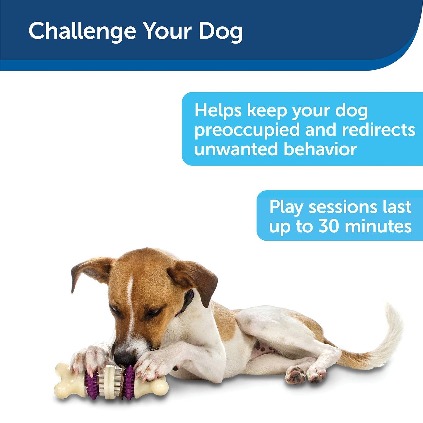 PetSafe Busy Buddy Bristle Bone, Large, Helps Keep Your Dog's Teeth Clean, Long-Lasting Playtime