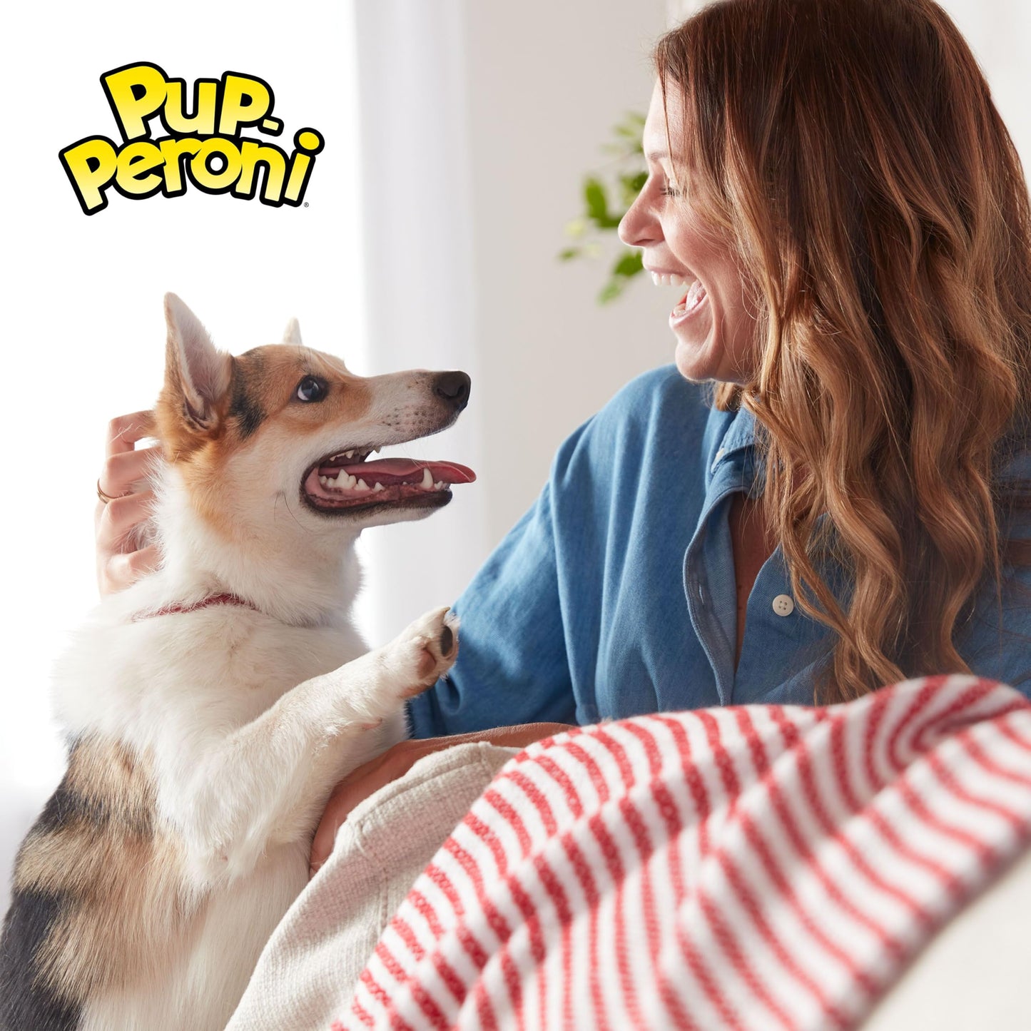 Pup-Peroni Dog Treats, Triple Steak Flavor, 5.6 Ounce (Pack of 8), Ribeye, Top Sirloin, NY Strip Flavors