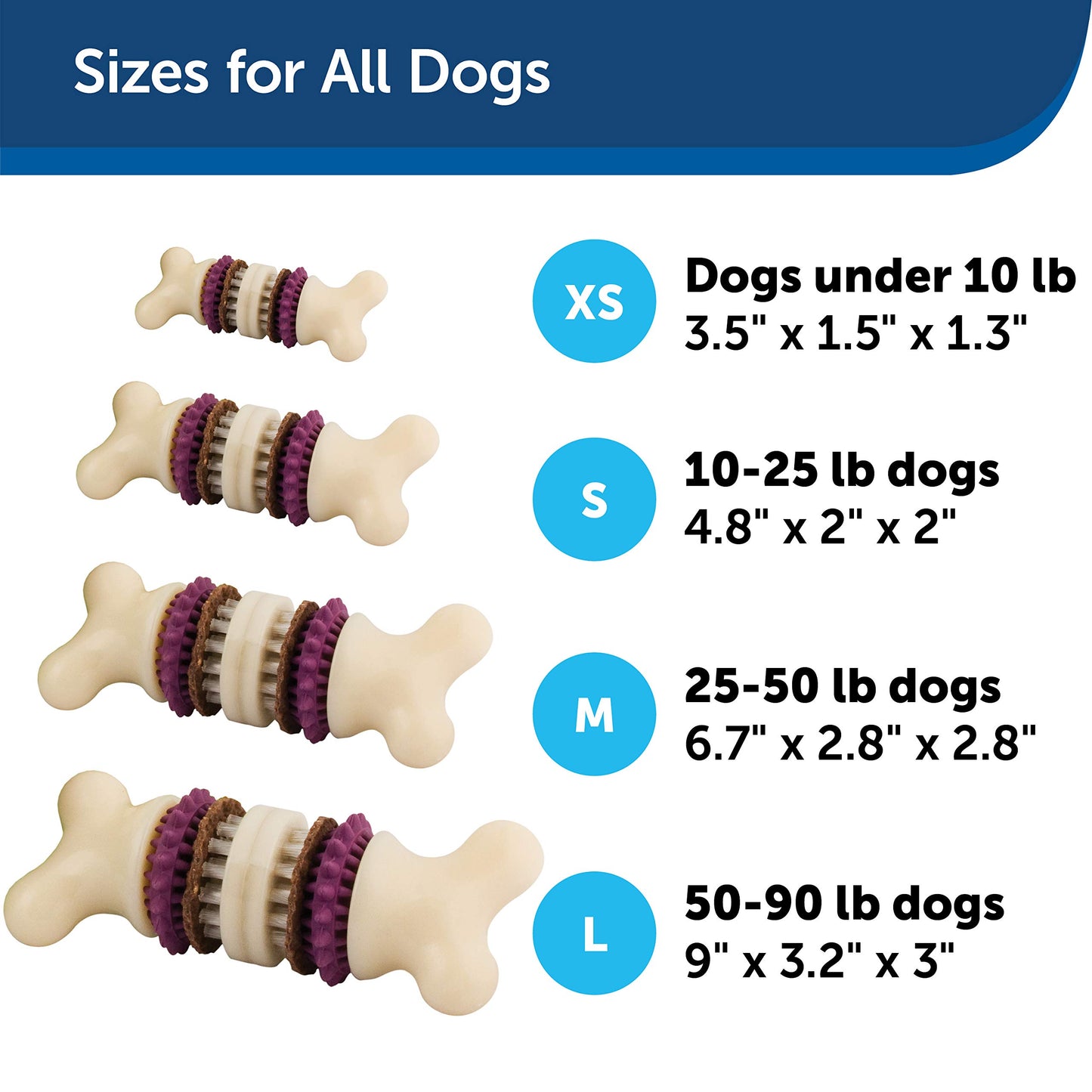 PetSafe Busy Buddy Bristle Bone, Large, Helps Keep Your Dog's Teeth Clean, Long-Lasting Playtime