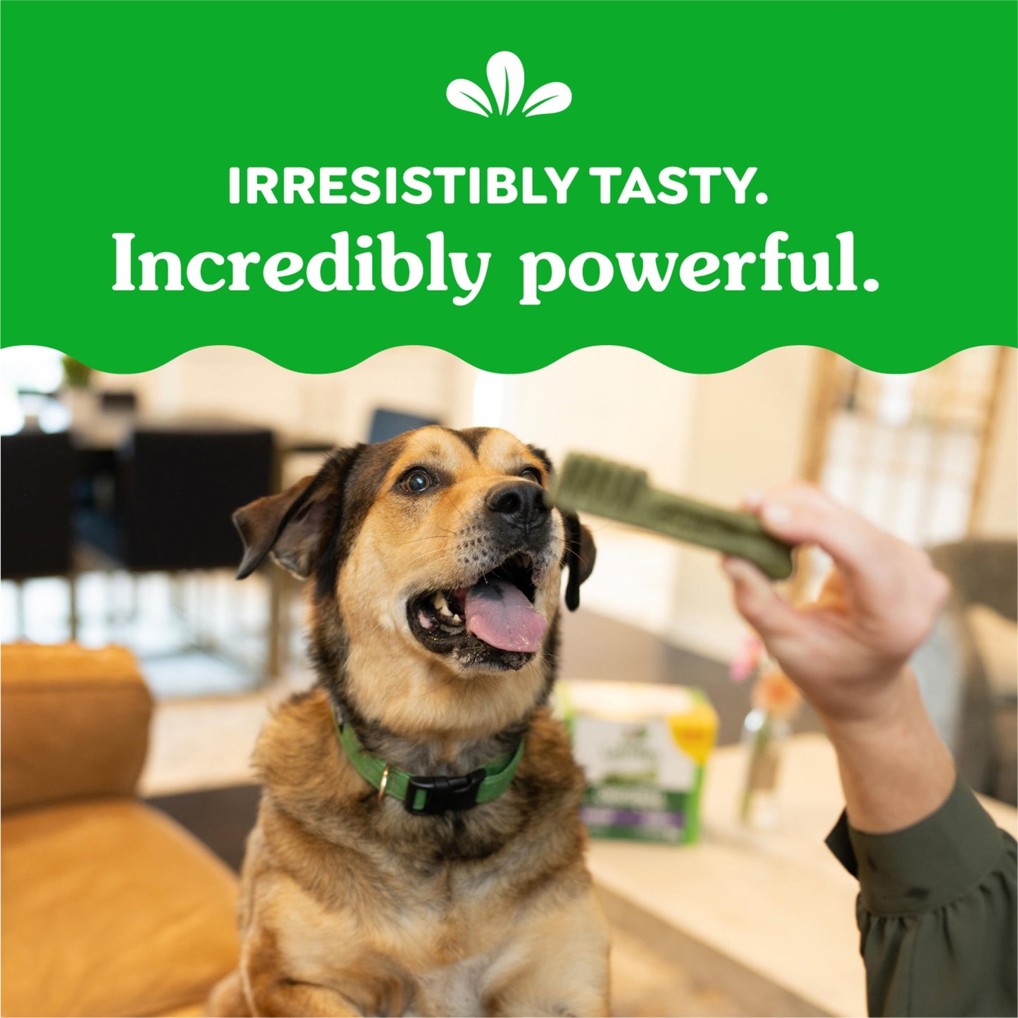 Greenies Original Large Dental Dog Treats, 27 oz. Pack (17 Treats)