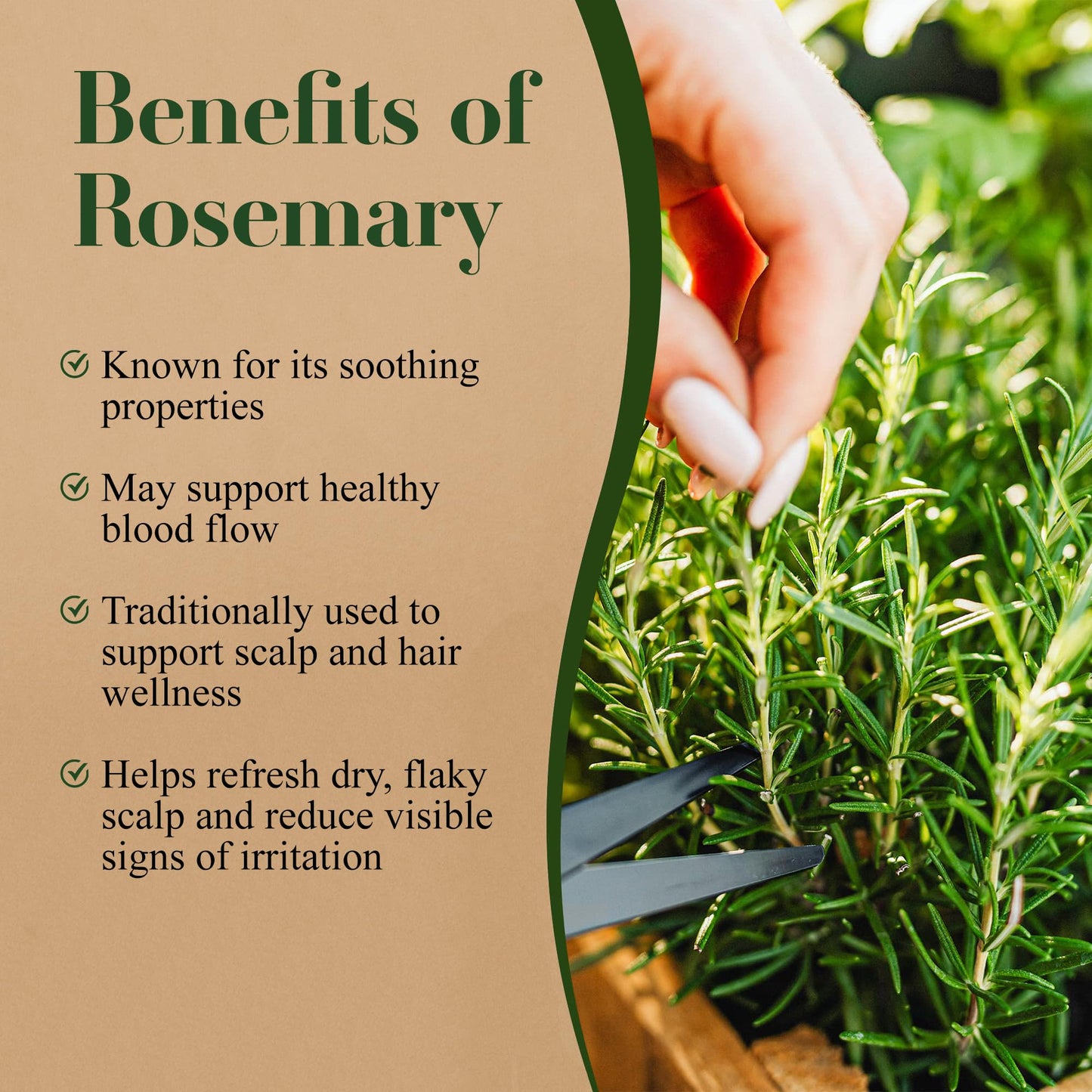 Lia Organics Rosemary Hair Growth Scalp Spray