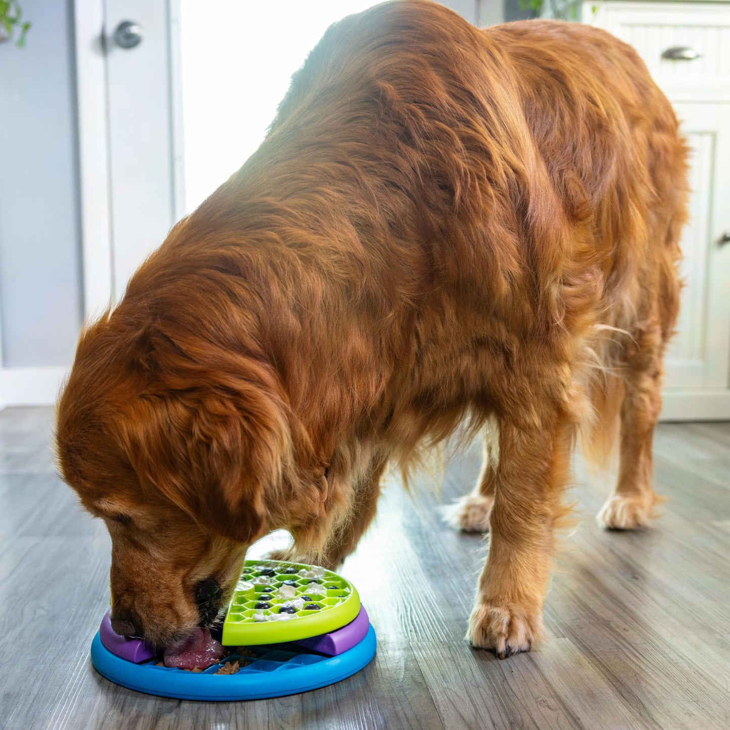 Outward Hound by Nina Ottosson Lickin’ Layers 3-in-1 Interactive Dog Feeder Puzzle, Lick Mat & Slow Feeder Bowl – Mental Stimulation Toy for Medium & Large Dogs