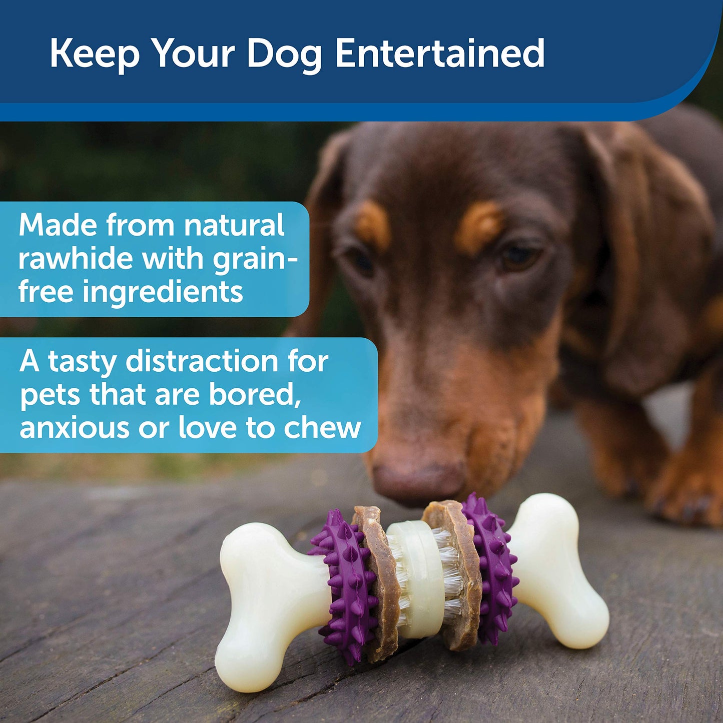 PetSafe Busy Buddy Bristle Bone, Large, Helps Keep Your Dog's Teeth Clean, Long-Lasting Playtime