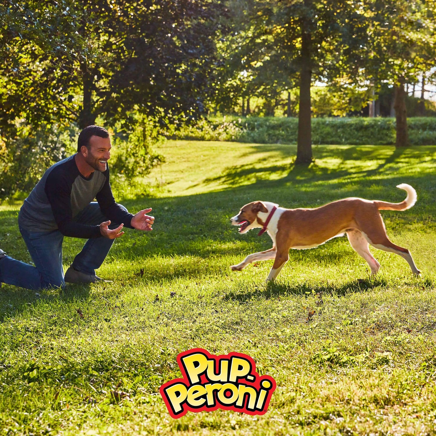 Pup-Peroni Dog Treats, Lean Beef Flavor, 5.6 Ounce (Pack of 8), Made with Real Beef, 90% Fat Free