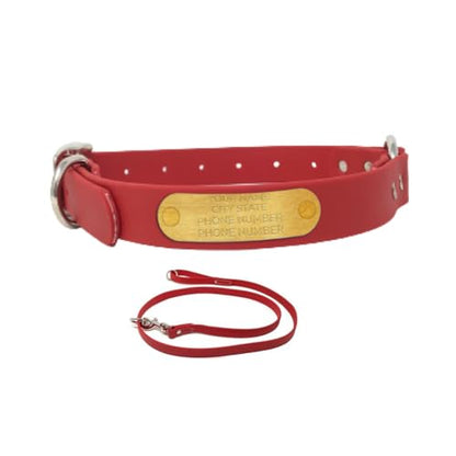 Regal Dog Products Small Red with Custom Engraved Waterproof Dog Collar and Leash Set | Waterproof Dog Collar with D Ring | Center Ring & 5'ft Leash | Matching Dog Collar and Leash for Dogs