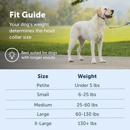 PetSafe Gentle Leader No-Pull Dog Headcollar - The Ultimate Solution to Pulling - Redirects Your Dog's Pulling for Easier Walks - Helps You Regain Control - Large, Charcoal