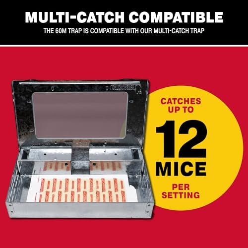 Catchmaster Pro Strength Mouse & Insect Glue Boards 60pk Traps Indoor for Home, Adhesive Bug Catcher, Rat & Rodent Sticky Trap, Non Toxic Bulk Pre-Baited Glue Traps, Pet Safe House Pest Control