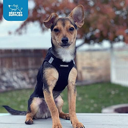 Voyager Step-In Air Dog Harness - All Weather Mesh, Reflective, No Pull Harness for Small, Medium Dogs, Cats - Secure with Hook & Loop Fastener, Buckle, Double D-Rings - Black/Black Trim, XS