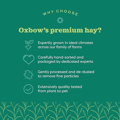 Oxbow Western Timothy Hay for Small Pets – All-Natural Grass Hay for Rabbits, Guinea Pigs, and Chinchillas – High Fiber for Digestive Health and Dental Support – 40 oz Bag