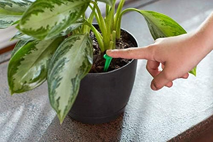 Scotts Indoor Plant Food Spikes, Includes 48 Spikes - Continuous Feeding for all Flowering and Foliage Houseplants - NPK 6-12-6, 48 Count (Pack of 12)