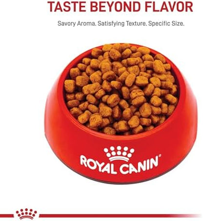 Royal Canin Yorkshire Terrier Adult Dry Dog Food, 10 lb bag
