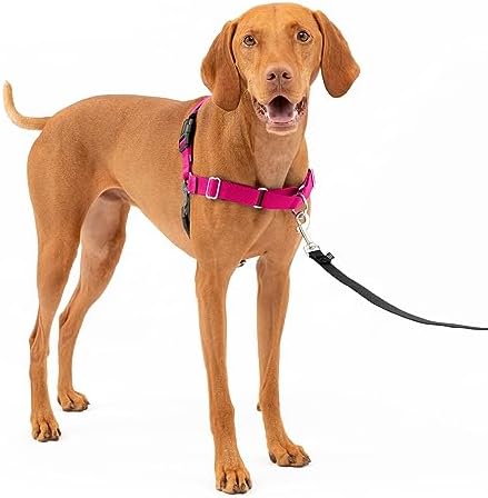PetSafe Easy Walk No-Pull Dog Harness - The Ultimate Harness to Help Stop Pulling - Take Control & Teach Better Leash Manners - Helps Prevent Pets Pulling on Walks, Medium, Raspberry/Gray