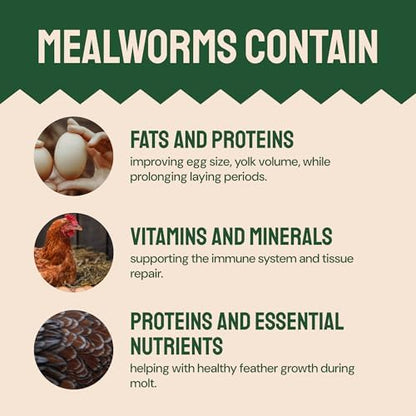 Bulk Dried Mealworms, 10 Lbs – Non-GMO Mealworms for Chicken & Birds - Insect Protein for Poultry Feed - Worms for Chickens, Laying Hens, Quail, Ducks - Bird Seed Alternative