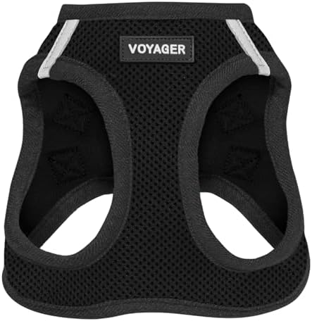 Voyager Step-In Air Dog Harness - All Weather Mesh, Reflective, No Pull Harness for Small, Medium Dogs, Cats - Secure with Hook & Loop Fastener, Buckle, Double D-Rings - Black/Black Trim, XS