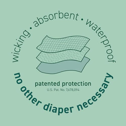 green sprouts Pull-up Reusable Absorbent Swim Diaper, Aqua Simple Dino, 24 Months