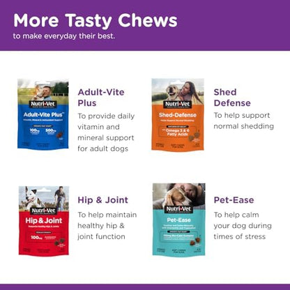 Nutri-Vet Pre & Probiotics for Dogs, Digestive Support, Upset Stomach, Puppy Probiotic, Pet Vitamins and Supplements, Dog Probiotics, Liver & Cheese Flavor, 120 Soft Chews