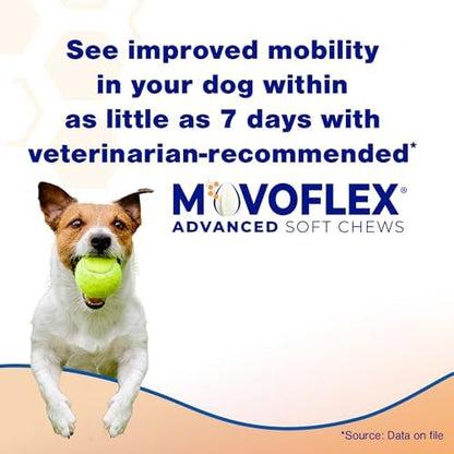 Advanced Soft Chews Hip and Joint Support Supplement for Medium Dogs 60 Count by Virbac