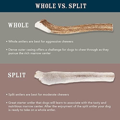 Amazon Brand - Wag Split Elk Antler, Naturally Shed, Long Lasting for Aggressive Chewers, Medium (Best for Dogs 15-30 lbs)