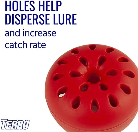 Terro Fruit Fly Traps for Indoors (4 Pack) + 180 Days of Lure Supply
