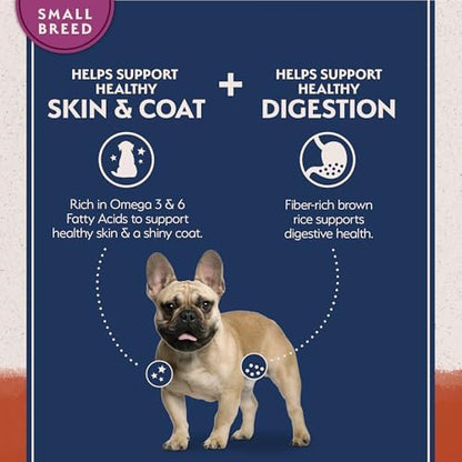 Natural Balance Limited Ingredient Small Breed Adult Grain-Free Dry Dog Food, Salmon & Sweet Potato Recipe, 12 Pound (Pack of 1)