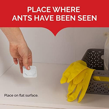 Hot Shot MaxAttrax Ant Bait, 0.07 oz Bait Stations, 4 Count, 12 Pack