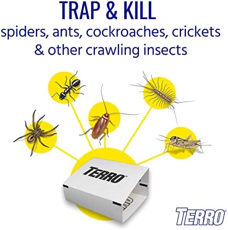 TERRO T3206SR Non-Toxic Indoor Spider, Ant, Cockroach, Centipede, and Crawling Insect Trap - 12 Traps