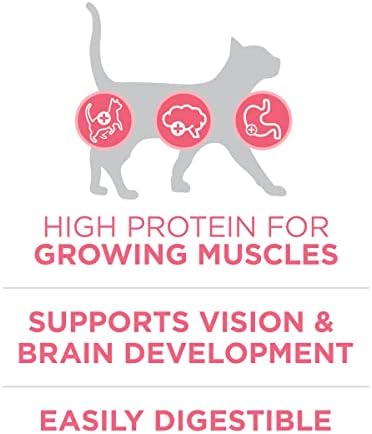 Purina ONE High Protein, Natural Dry Kitten Food, +Plus Healthy Kitten Formula - 7 lb. Bag