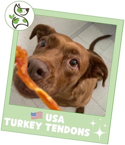 Nature Gnaws USA Turkey Tendons for Dogs (4oz) - Delicious Grain Free Reward Snack for Small, Medium & Large Breeds - Premium Natural Dog Chew Treats