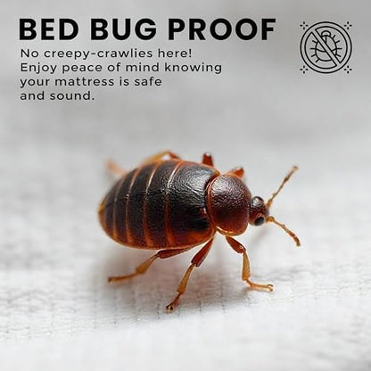 Utopia Bedding Premium Waterproof Bed Bug Mattress Cover, Queen Zippered Mattress Protector, 12 Inches Deep, Dust Mite Proof 6-Sided Mattress Encasement for Bed