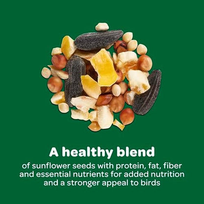Kaytee Wild Bird Food Basic Seed Blend, 5 lb