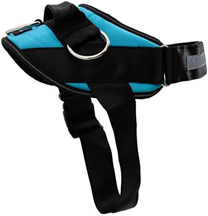 ShawnCo Essential Dog Harness, No-Pull Pet Vest with 3 Leash Clips, No Choke, Reflective, Adjustable and Padded, for Easy Walking and Training for Small, Medium and Large Dogs (Oceanic Blue, Medium)