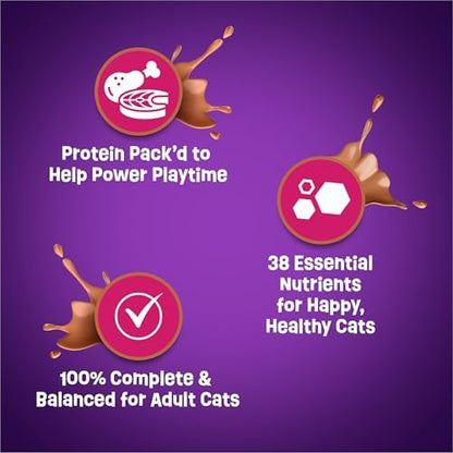 Purina Friskies Dry Cat Food Gravy Swirl'd With Flavors of Chicken, Salmon and Gravy - 22 lb. Bag