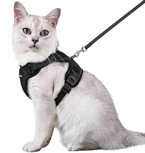 rabbitgoo Cat Harness and Leash for Walking, Escape Proof Soft Adjustable Vest Harnesses for Cats, Easy Control Breathable Reflective Strips Jacket, Black, M