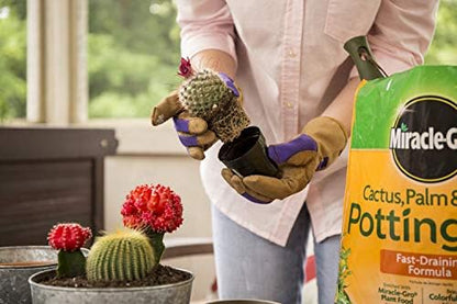 Miracle-Gro Cactus, Palm and Citrus Potting Mix, for Indoor or Outdoor Potted Plants, Great for Succulents, 8 qt., 2-Pack