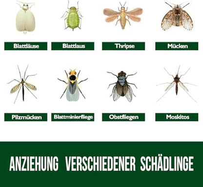 Garsum 42 Traps Sticky Houseplant Traps Gnat Yellow Insect Trap Indoor Fruit Fly Stakes Trap