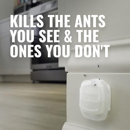 Terro T334B Liquid Ant Baits Indoor - Terro Ant Trap and Bait Stations - 8 Liquid Traps