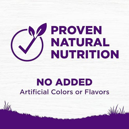 Wellness Complete Health Dry Dog Food with Grains, Made in USA with Real Meat & Natural Ingredients, All Breeds, Adult Dogs (Chicken & Oatmeal, 30-lb) – With Nutrients for Immune, Skin, & Coat Support