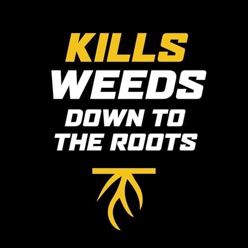 Ortho WeedClear Weed Killer for Lawns with Comfort Wand, Kills More than 250 Weeds including Dandelion and Clover, 1 gal.