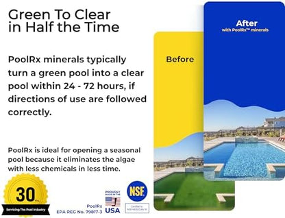 PoolRx Pool Unit #101066 6 Month Algaecide Treats 20k-30k gallons, Black