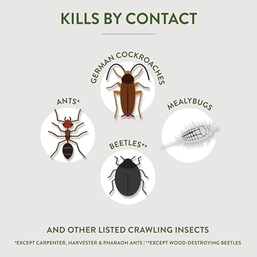 Garden Safe Brand Crawling Insect Killer Containing Diatomaceous Earth, 4 Pounds, Kills Cockroaches, Ants and Other Listed Crawling Insects by Contact, For Use Indoors & Outdoors