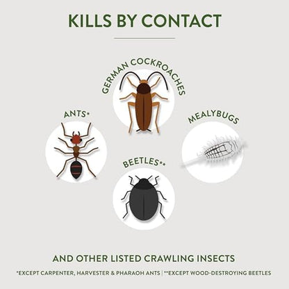 Garden Safe Brand Crawling Insect Killer Containing Diatomaceous Earth, 4 Pounds, Kills Cockroaches, Ants and Other Listed Crawling Insects by Contact, For Use Indoors & Outdoors