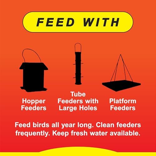 Sizzlenheat Bird Food 5#