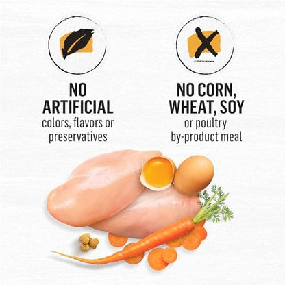 Purina Beyond Grain Free White Meat Chicken and Egg Recipe Natural Cat Food High Protein Cat Food Dry Formula - 5 lb. Bag
