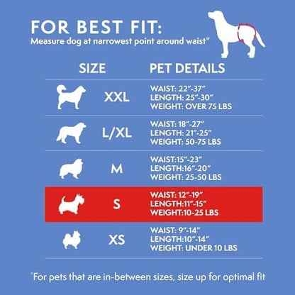 Simple Solution Female Dog Diapers – Disposable Diapers for Potty Training, Incontinence, and Heat Cycle Protection – Leak-Proof Fit for Small Dogs, 12–19 Inch Waist – 30 Count