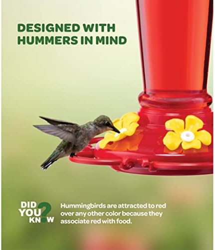 Hummingbird Feeder 10 oz [Set of 2] Plastic Feeders for Outdoors, with Built-in Ant Guard - Circular Perch with 5 Feeding Ports - Wide Mouth for Easy Filling/2 Part Base for Easy Cleaning